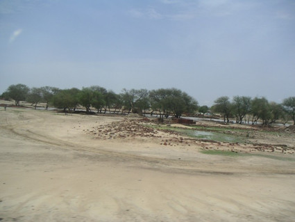 ....ok non è il deserto....